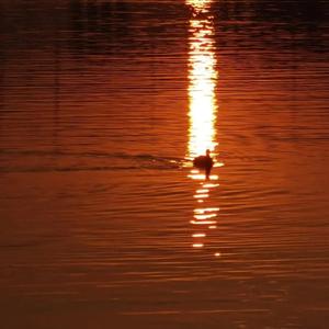 被迫变装慰菊cd戴CB视频在线观看
